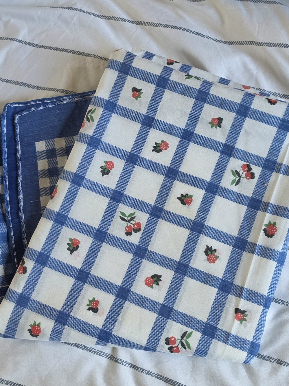 Vintage Blue Gingham Fruit Print Table Linen Or Picnic Blanket
